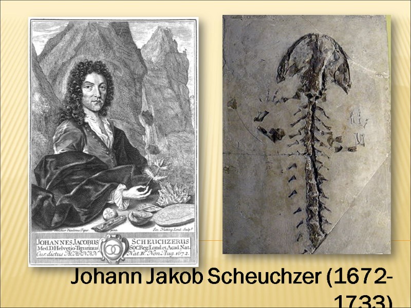 Johann Jakob Scheuchzer (1672-1733)